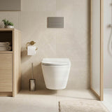 Lukka Agena Tornado Rimless Flush Wall Hung Toilet Pan Only 520x360x350mm - Various Colours