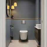 Lukka Agena Tornado Rimless Flush Wall Hung Toilet Pan Only 520x360x350mm - Various Colours