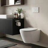 Lukka Agena Tornado Rimless Flush Wall Hung Toilet Pan Only 520x360x350mm - Various Colours