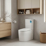 Lukka Devito Wall Faced Tornado Rimless Quiet Flush Toilet Suite 650x380x800mm - Gloss White