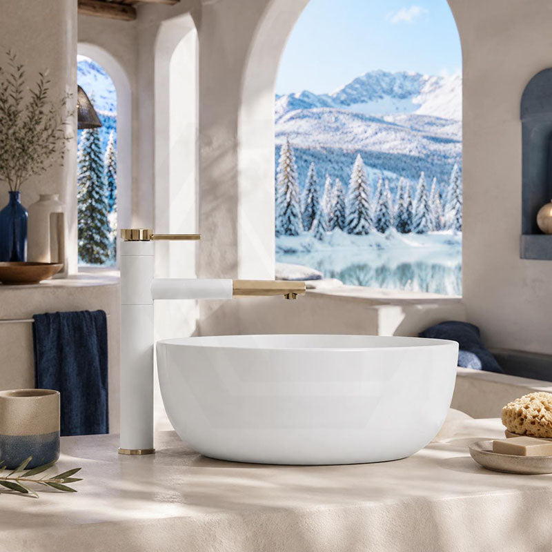 Lukka Ellips Oval Above Counter Ceramic Basin with Overflow 490/610mm - Gloss/Matt White