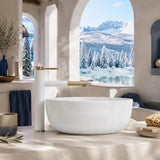 Lukka Ellips Oval Above Counter Ceramic Basin with Overflow 490/610mm - Gloss/Matt White