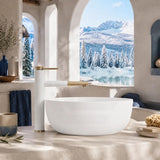 Lukka Ellips Oval Above Counter Ceramic Basin with Overflow 490/610mm - Gloss/Matt White