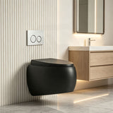 RAK CLOUD Rimless Flush Wall Hung Toilet Pan with R&T Framed Inwall Concealed Cistern Push Button - Variant Colour