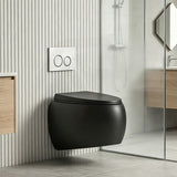 RAK CLOUD Rimless Flush Wall Hung Toilet Pan with R&T Framed Inwall Concealed Cistern Push Button - Variant Colour