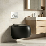 RAK CLOUD Rimless Flush Wall Hung Toilet Pan with R&T Framed Inwall Concealed Cistern Push Button - Variant Colour