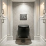 RAK CLOUD Rimless Flush Wall Hung Toilet Pan with R&T Framed Inwall Concealed Cistern Push Button - Variant Colour