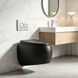 RAK CLOUD Rimless Flush Wall Hung Toilet Pan with R&T Framed Inwall Concealed Cistern Push Button - Variant Colour