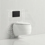 RAK CLOUD Rimless Flush Wall Hung Toilet Pan with R&T Framed Inwall Concealed Cistern Push Button - Variant Colour
