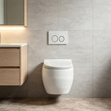 RAK CLOUD Rimless Flush Wall Hung Toilet Pan with R&T Framed Inwall Concealed Cistern Push Button - Variant Colour
