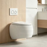 RAK CLOUD Rimless Flush Wall Hung Toilet Pan with R&T Framed Inwall Concealed Cistern Push Button - Variant Colour