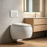 RAK CLOUD Rimless Flush Wall Hung Toilet Pan with R&T Framed Inwall Concealed Cistern Push Button - Variant Colour