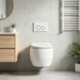 RAK CLOUD Rimless Flush Wall Hung Toilet Pan with R&T Framed Inwall Concealed Cistern Push Button - Variant Colour