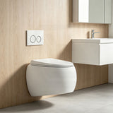 RAK CLOUD Rimless Flush Wall Hung Toilet Pan with R&T Framed Inwall Concealed Cistern Push Button - Variant Colour