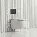 RAK CLOUD Rimless Flush Wall Hung Toilet Pan with R&T Framed Inwall Concealed Cistern Push Button - Variant Colour