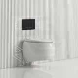 RAK CLOUD Rimless Flush Wall Hung Toilet Pan with R&T Framed Inwall Concealed Cistern Push Button - Variant Colour