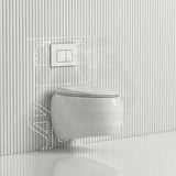 RAK CLOUD Rimless Flush Wall Hung Toilet Pan with R&T Framed Inwall Concealed Cistern Push Button - Variant Colour
