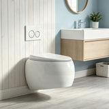 RAK CLOUD Rimless Flush Wall Hung Toilet Pan with R&T Framed Inwall Concealed Cistern Push Button - Variant Colour