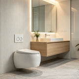 RAK CLOUD Rimless Flush Wall Hung Toilet Pan with R&T Framed Inwall Concealed Cistern Push Button - Variant Colour