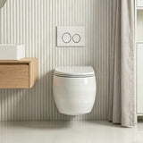 RAK CLOUD Rimless Flush Wall Hung Toilet Pan with R&T Framed Inwall Concealed Cistern Push Button - Variant Colour