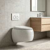 RAK CLOUD Rimless Flush Wall Hung Toilet Pan with R&T Framed Inwall Concealed Cistern Push Button - Variant Colour