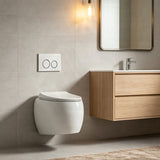 RAK CLOUD Rimless Flush Wall Hung Toilet Pan with R&T Framed Inwall Concealed Cistern Push Button - Variant Colour
