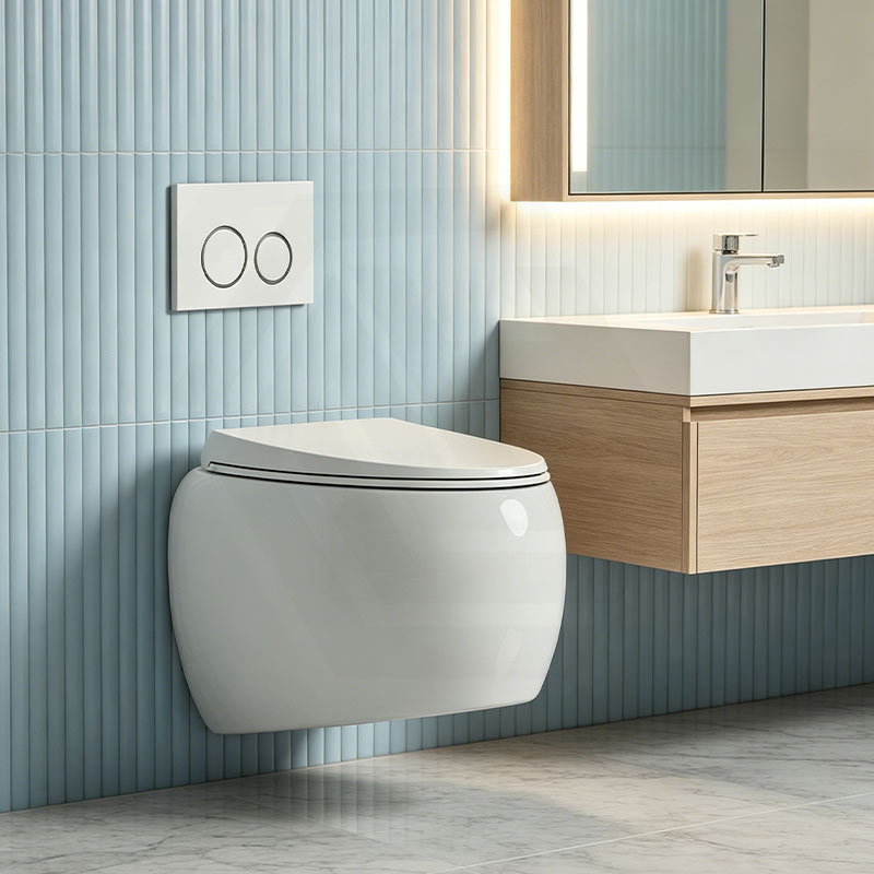 RAK CLOUD Rimless Flush Wall Hung Toilet Pan with R&T Framed Inwall Concealed Cistern Push Button - Variant Colour