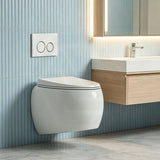 RAK CLOUD Rimless Flush Wall Hung Toilet Pan with R&T Framed Inwall Concealed Cistern Push Button - Variant Colour