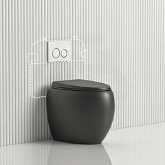 #Matt Black RAK CLOUD Rimless Wall Faced Toilet Pan Variant Colour with R&T Frameless Inwall Concealed Cistern Push Button Available
