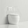 RAK CLOUD Rimless Wall Faced Toilet Pan Variant Colour with R&T Frameless Inwall Concealed Cistern Push Button Available