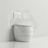 RAK CLOUD Rimless Wall Faced Toilet Pan Variant Colour with R&T Frameless Inwall Concealed Cistern Push Button Available