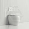 RAK CLOUD Rimless Wall Faced Toilet Pan Variant Colour with R&T Frameless Inwall Concealed Cistern Push Button Available