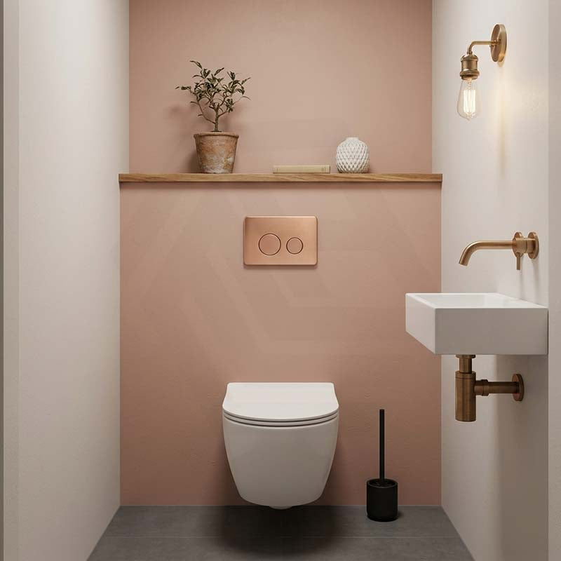 R&T Round Stainless Steel Toilet Button for In-wall Concealed Cistern G30032/G30031 - Variant Colour
