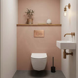 R&T Round Stainless Steel Toilet Button for In-wall Concealed Cistern G30032/G30031 - Variant Colour