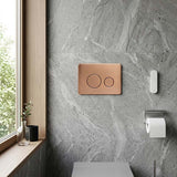 R&T Round Stainless Steel Toilet Button for In-wall Concealed Cistern G30032/G30031 - Variant Colour