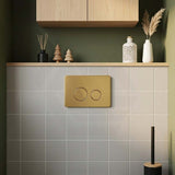 R&T Round Stainless Steel Toilet Button for In-wall Concealed Cistern G30032/G30031 - Variant Colour