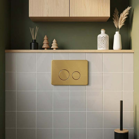 R&T Round Stainless Steel Toilet Button for In-wall Concealed Cistern G30032/G30031 - Variant Colour