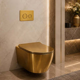 R&T Round Stainless Steel Toilet Button for In-wall Concealed Cistern G30032/G30031 - Variant Colour
