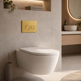R&T Round Stainless Steel Toilet Button for In-wall Concealed Cistern G30032/G30031 - Variant Colour