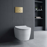 R&T Round Stainless Steel Toilet Button for In-wall Concealed Cistern G30032/G30031 - Variant Colour