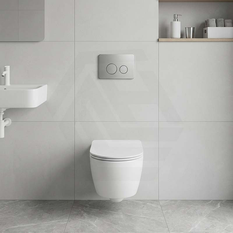 R&T Round Stainless Steel Toilet Button for In-wall Concealed Cistern G30032/G30031 - Variant Colour