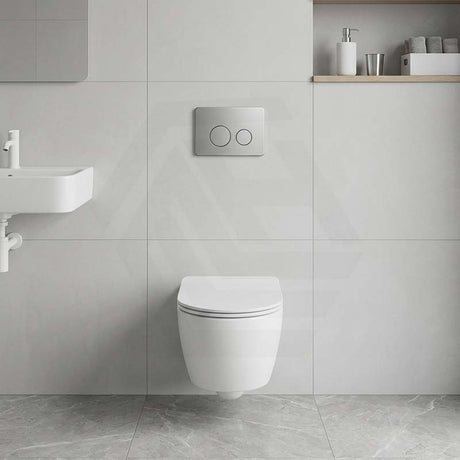 R&T Round Stainless Steel Toilet Button for In-wall Concealed Cistern G30032/G30031 - Variant Colour