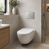 R&T Round Stainless Steel Toilet Button for In-wall Concealed Cistern G30032/G30031 - Variant Colour