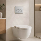 R&T Round Stainless Steel Toilet Button for In-wall Concealed Cistern G30032/G30031 - Variant Colour