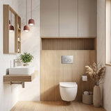 R&T Round Stainless Steel Toilet Button for In-wall Concealed Cistern G30032/G30031 - Variant Colour