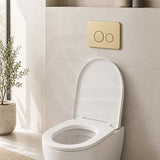 R&T Round Stainless Steel Toilet Button for In-wall Concealed Cistern G30032/G30031 - Variant Colour