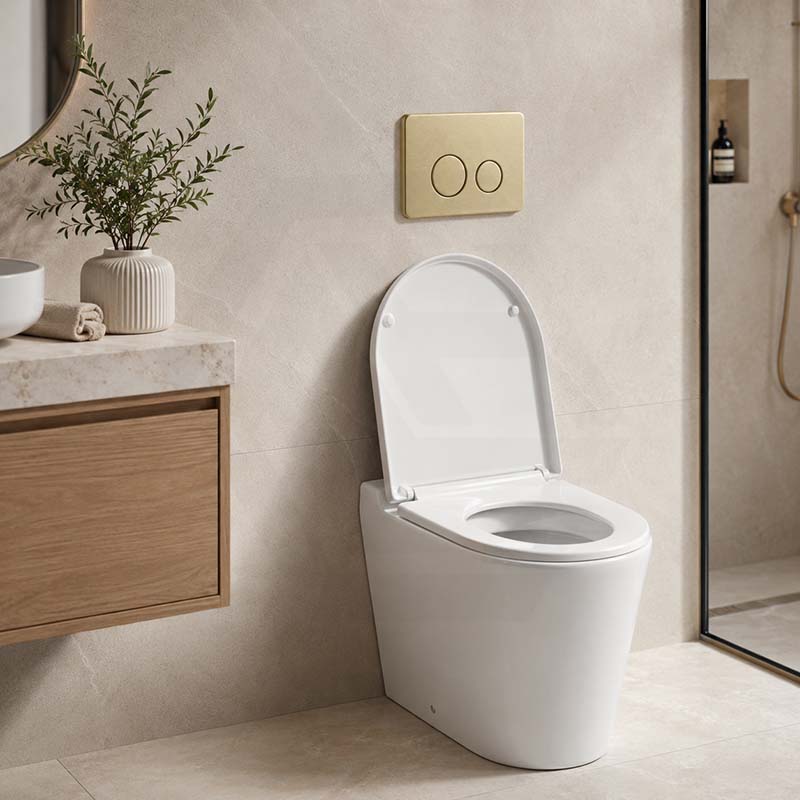 R&T Round Stainless Steel Toilet Button for In-wall Concealed Cistern G30032/G30031 - Variant Colour