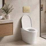 R&T Round Stainless Steel Toilet Button for In-wall Concealed Cistern G30032/G30031 - Variant Colour