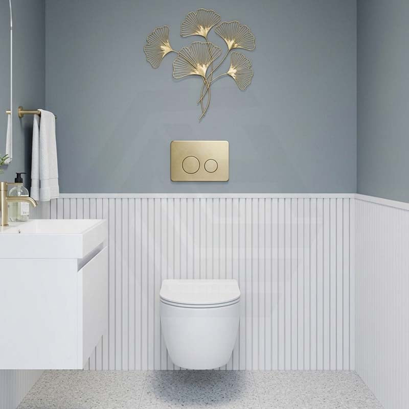 R&T Round Stainless Steel Toilet Button for In-wall Concealed Cistern G30032/G30031 - Variant Colour