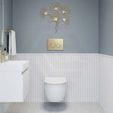 R&T Round Stainless Steel Toilet Button for In-wall Concealed Cistern G30032/G30031 - Variant Colour